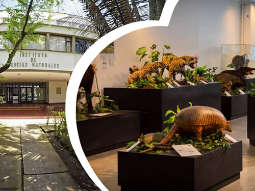 Instituto Ciencias Naturales