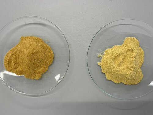 Cáscara de pitahaya