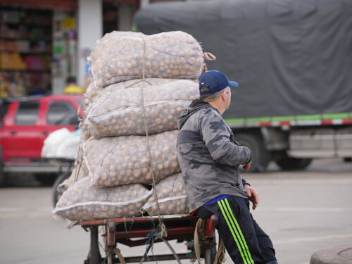 Vendedores informales